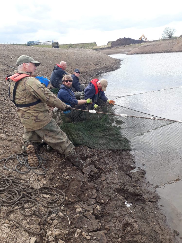 Seinne netting - fish rescue