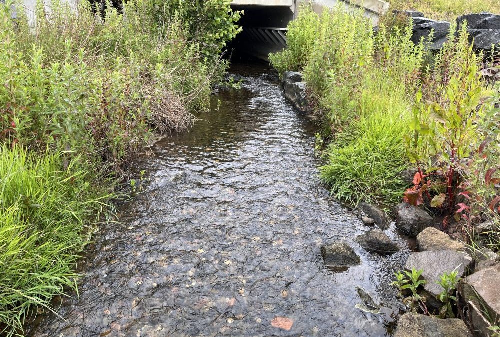 Case Study:  Diffuse pollution on the Brockloch Burn