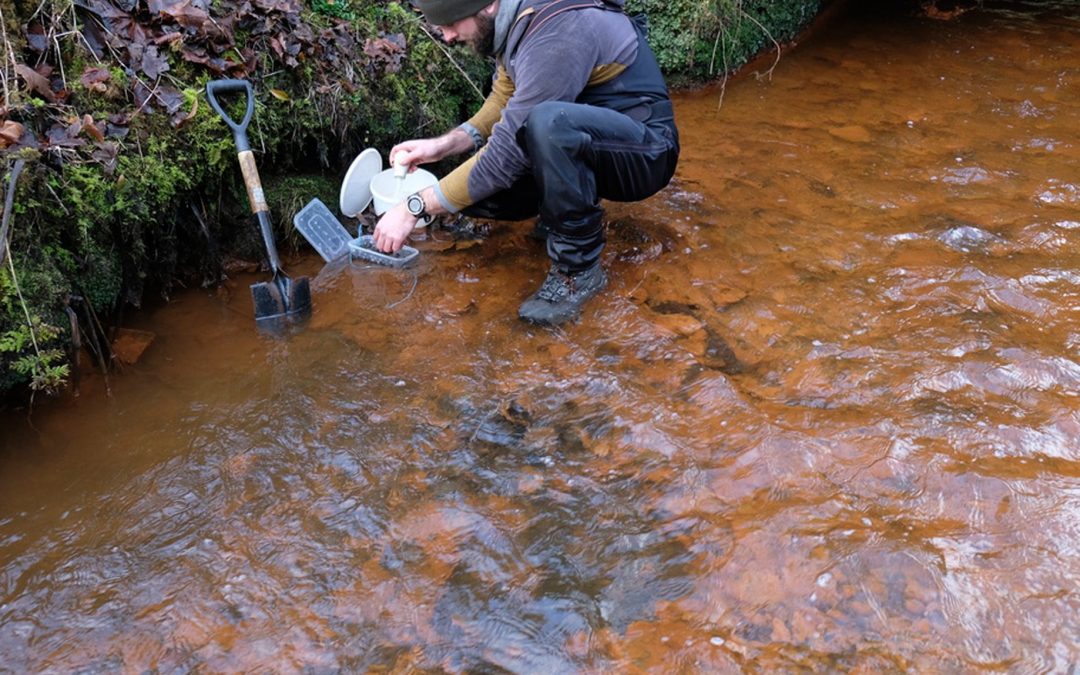 Preserving isolated trout populations that are under threat