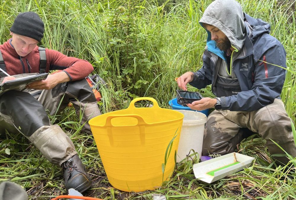 Electrofishing surveys commence July 2024
