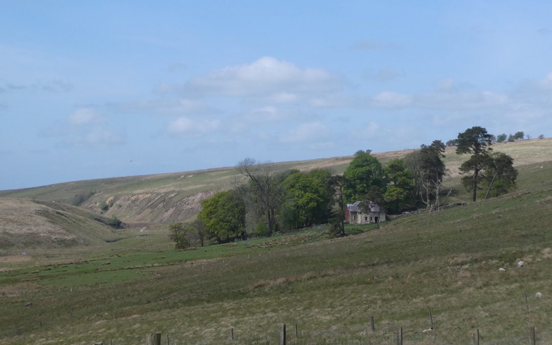 Temperature loggers and today’s travels.