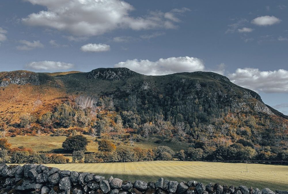 Girvan Tributary Surveys