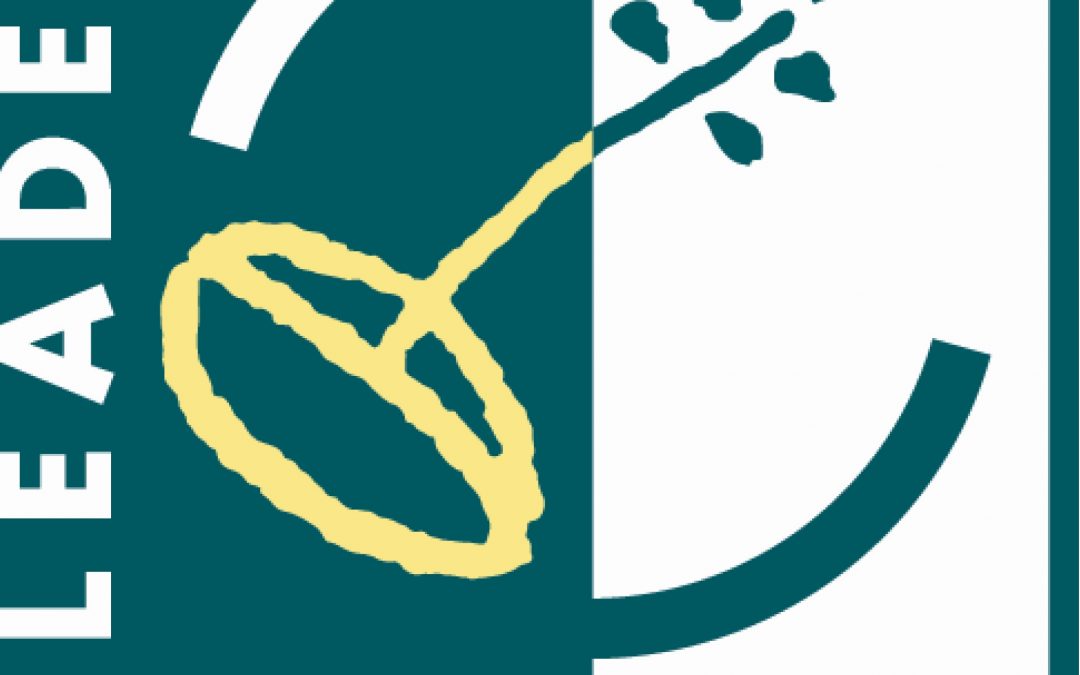 Carrick Invasive Weeds Project Officer Vacancy