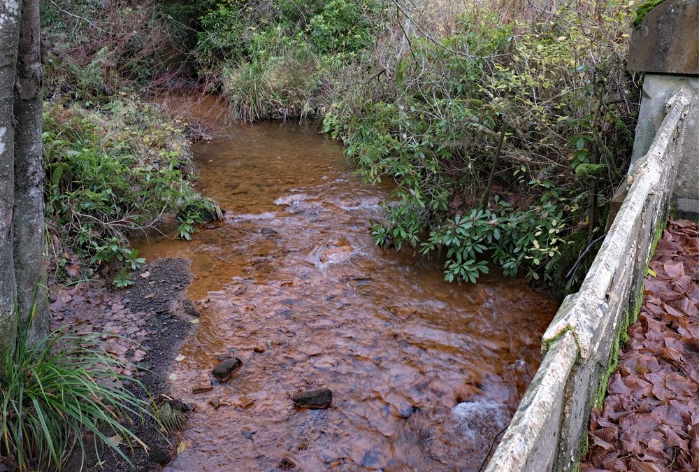 Stottencleugh update